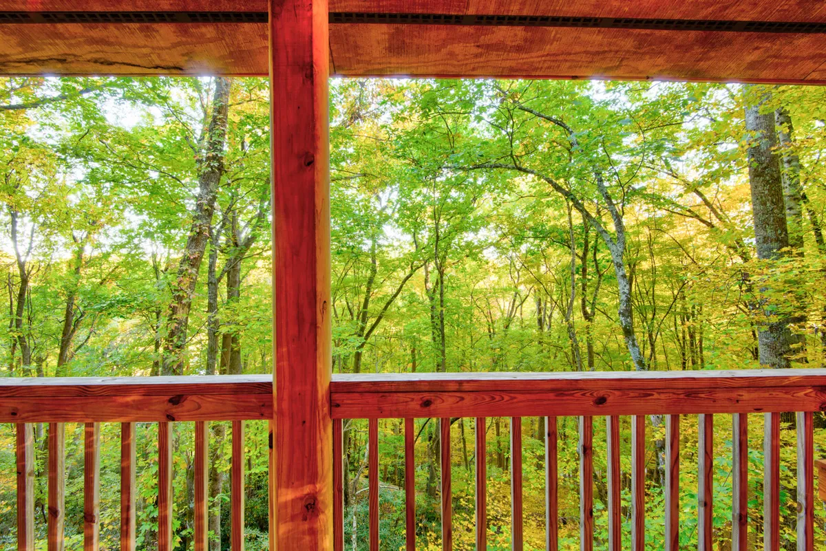 This exterior image showcases a balcony with a wooden railing surrounded by lush green trees. Soft natural light filters through the leafy branches, creating a tranquil, inviting space for guests to enjoy the outdoors. The scene evokes the retreat’s connection to nature and highlights moments of relaxation, such as watching sunsets or sipping morning coffee while immersed in the forest environment.